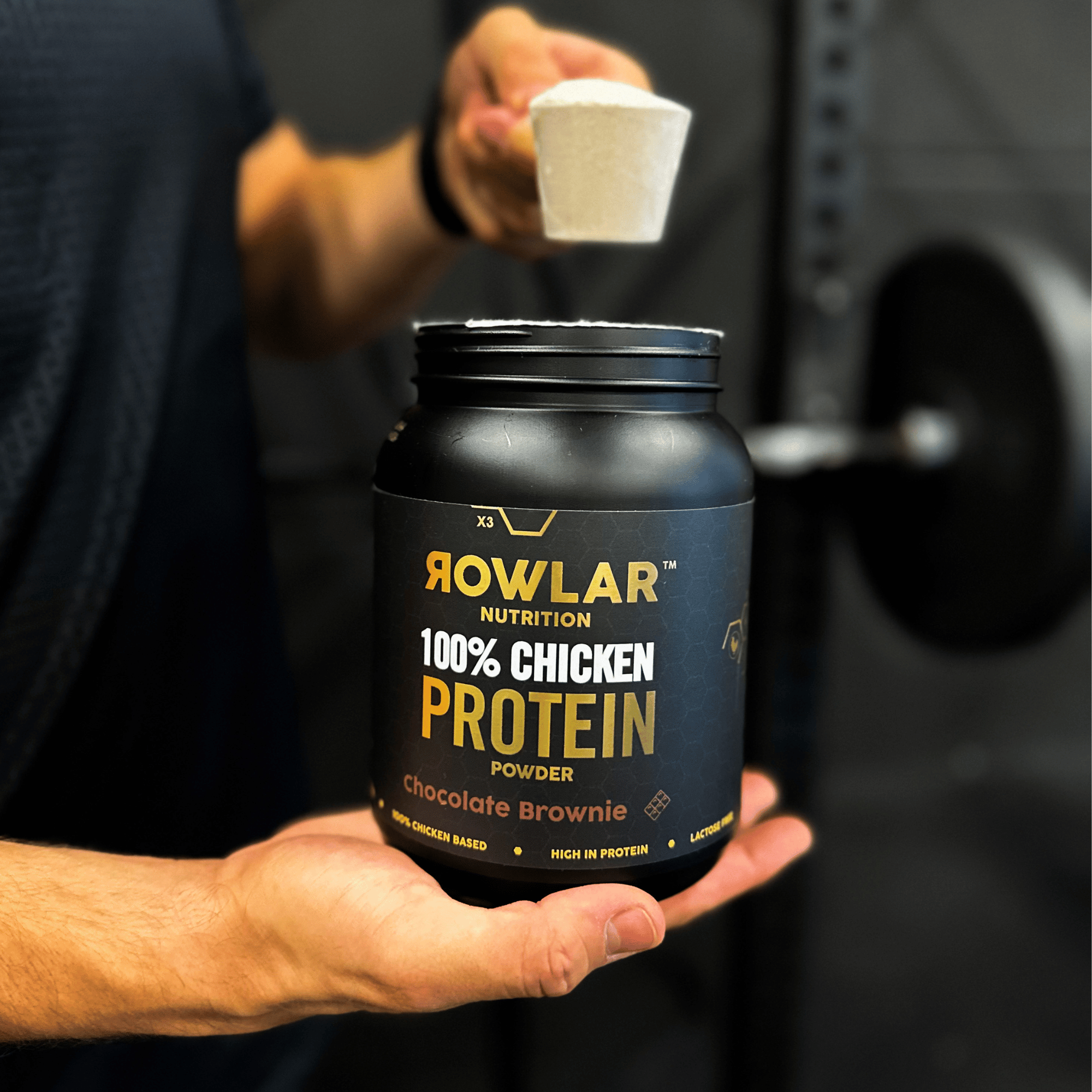 Chicken Protein - 500 Gram