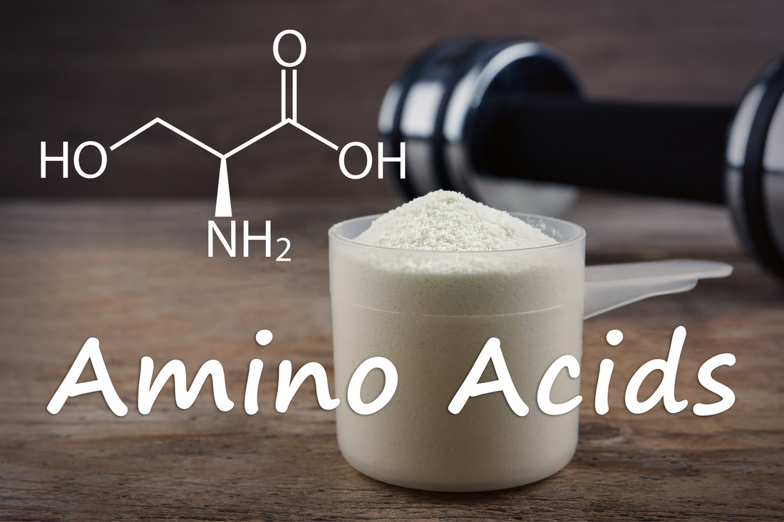 De kracht van aminozuren: De bouwstenen van groei en herstel